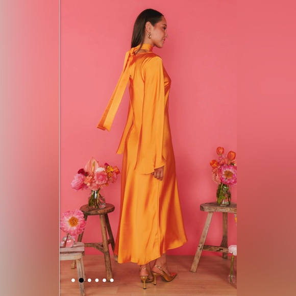 Sarah Midi Dress NWT - Picture 4 of 8